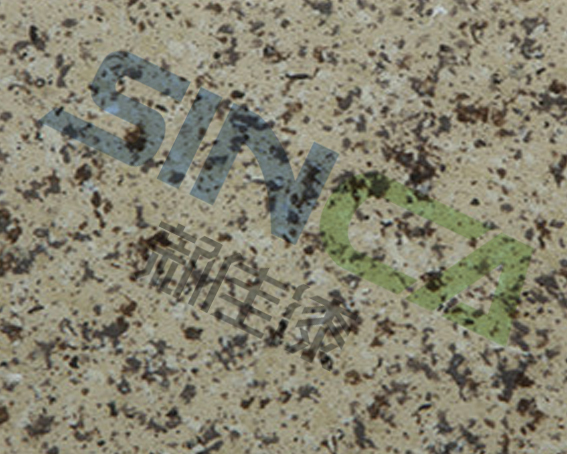 優質水包水多彩涂料廠家,山東新佳